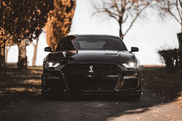 Casino777 Kasyno Aplikacja Android/iOS